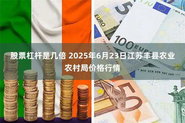 股票杠杆是几倍 2025年6月23日江苏丰县农业农村局价格行情