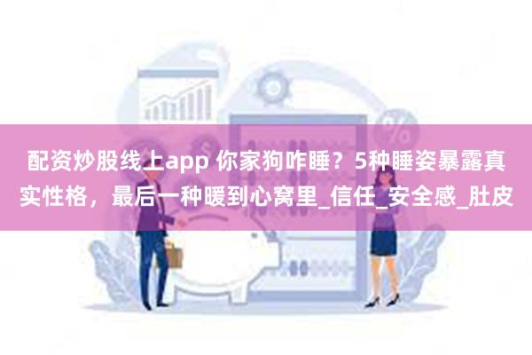 配资炒股线上app 你家狗咋睡？5种睡姿暴露真实性格，最后一种暖到心窝里_信任_安全感_肚皮