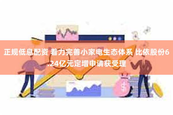 正规低息配资 着力完善小家电生态体系 比依股份6.24亿元定增申请获受理