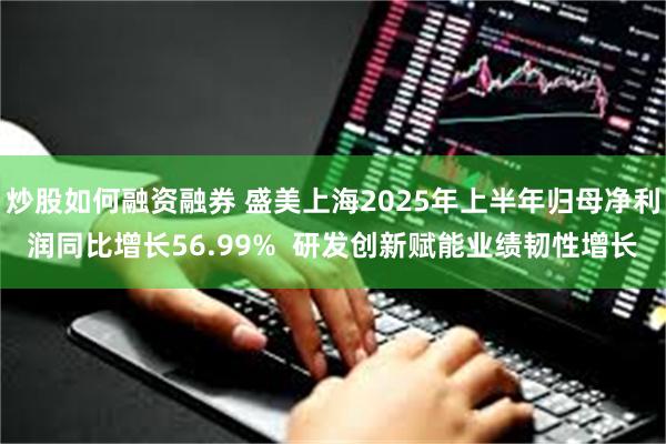 炒股如何融资融券 盛美上海2025年上半年归母净利润同比增长56.99%  研发创新赋能业绩韧性增长